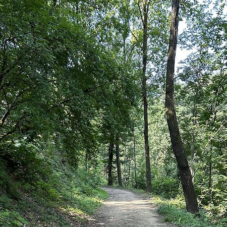 Il Giardino Di Berbech Citta Alta-Ulivo Διαμέρισμα Μπέργκαμο Εξωτερικό φωτογραφία