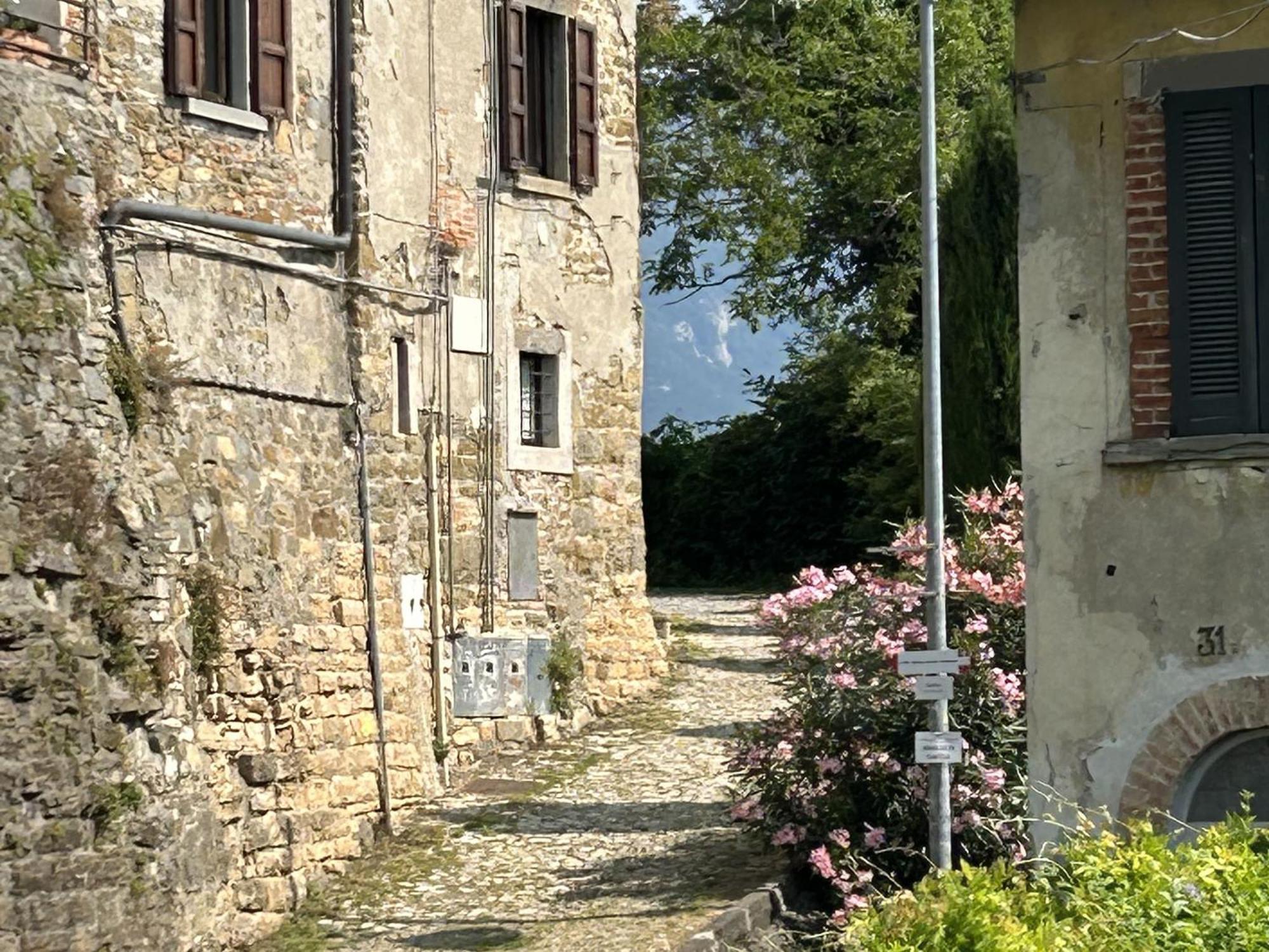 Il Giardino Di Berbech Citta Alta-Ulivo Διαμέρισμα Μπέργκαμο Εξωτερικό φωτογραφία