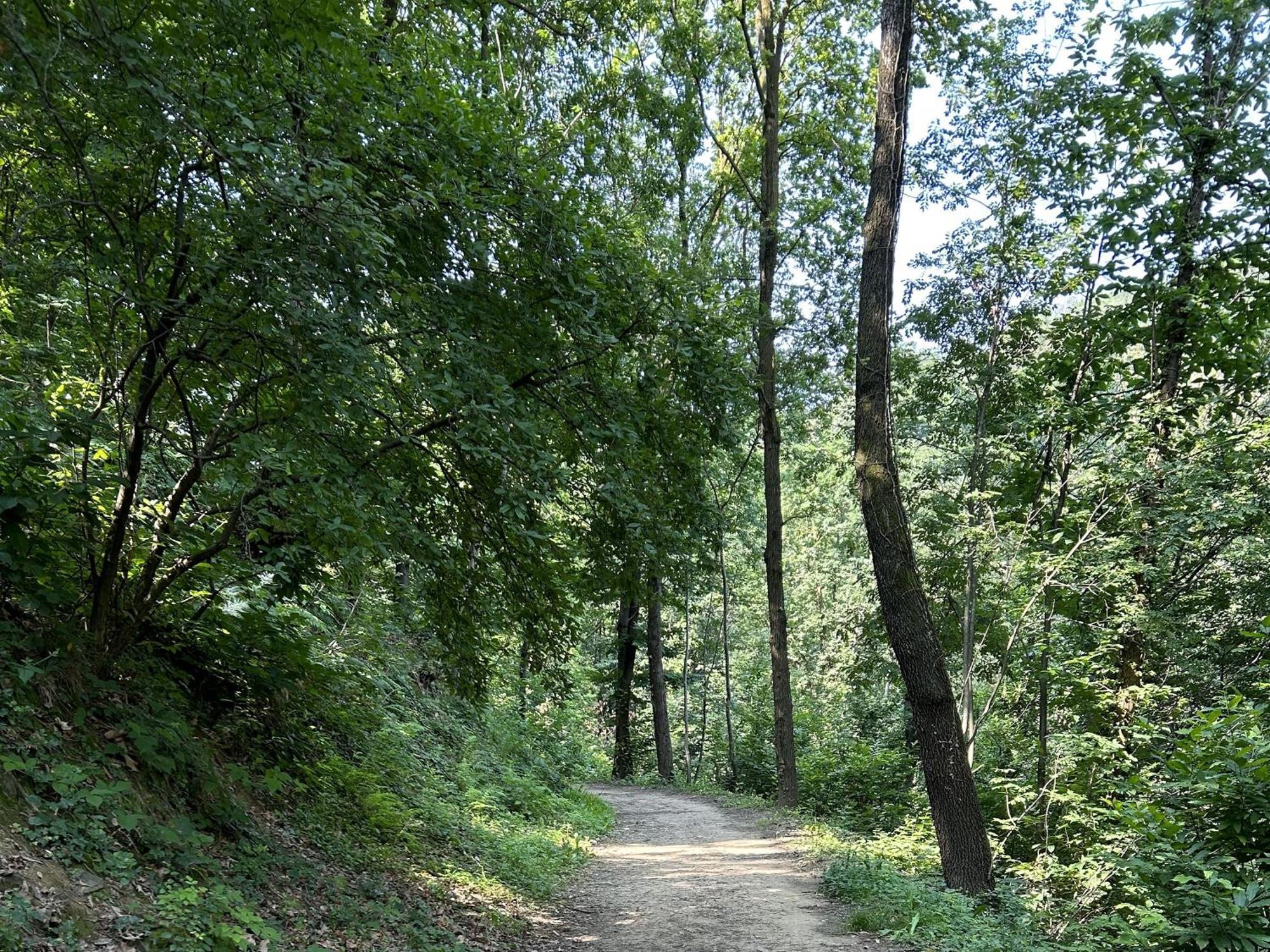 Il Giardino Di Berbech Citta Alta-Ulivo Διαμέρισμα Μπέργκαμο Εξωτερικό φωτογραφία